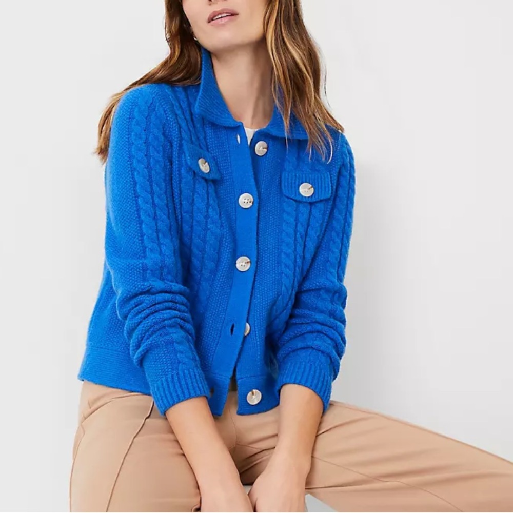 Ann Taylor Cobalt Blue Chunky Collared Cable Sweater